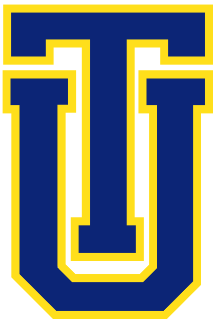 Tulsa Golden Hurricane 0-Pres Alternate Logo v3 diy iron on heat transfer